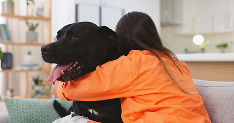 Image showing Woman, dog and hugging on sofa together in living room, fun, love and happy friendship with pets at home. Friends, quality time with pet and happiness, relax and petting animal on couch in apartment.