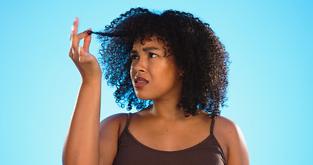 Image showing Afro, hair damage and confused black woman on blue background with problem, hairstyle frizz and loss. Beauty salon, hairdresser and frustrated girl with strand for treatment, grooming or cosmetics