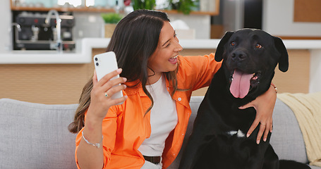 Image showing Woman, dog and selfie on living room couch in home for funny hug, touch or lick face with happy friends. Doggy mom, lounge sofa and love for pet, animal or social media app for comic photography fail