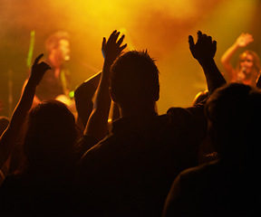 Image showing Fans, hands and silhouette, people at concert or music festival from back, orange lights and energy at live event. Dance, fun and excited crowd in arena at rock band performance or audience dancing.