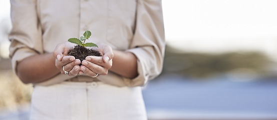 Image showing Hands, seedling and business woman with space for mockup, branding or growth in startup company. Soil, plant and mock up for development, start or entrepreneurship for goal, sustainability and future