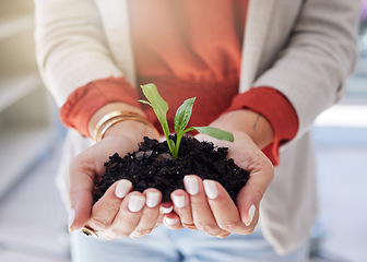 Image showing Soil, plants and hands of a business person in the office for sustainability, green business or growth closeup. Earth, nature and environment with an employee holding a budding plant for conservation