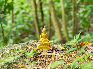 Image showing Tiny Buddha image with coins in forest in Thailand