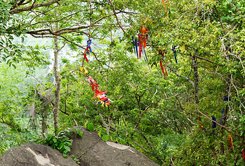 Image showing Ribbons in trees at Wat Khao Tabaek in Chonburi, Thailand