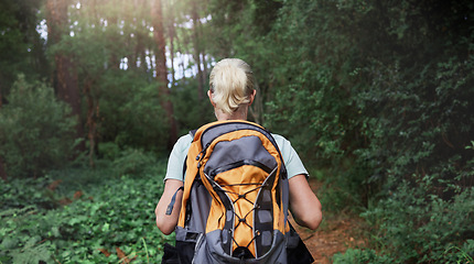 Image showing Travel, forest and woman rear on hiking journey, jungle adventure or nature wellness and outdoor explore. Fitness, walking and hiker person in backpack trekking, tropical woods path and cardio health