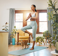 Image showing Yoga, fitness woman and cat for meditation, training and balance at home in living room, wellness and holistic health. Biracial person meditate, prayer or tree pose in pilates workout for healing