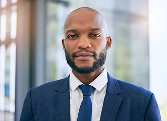 Image showing Business man, portrait and corporate lawyer in a office with success and company ideas. Law, management and African ceo worker face of legal job growth with lens flare and blurred background