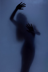 Image showing Woman silhouette, curtain and sexy shadow with creative art deco, window or palm with body health. Girl, model and hands on glass with smoke, dark aesthetic and sensual person or wellness by screen