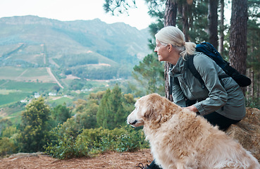 Image showing Woman, hiking and dog outdoor in nature for exercise, fitness and trekking for health and wellness. Senior woman with pet animal on hike and thinking in forest about workout, cardio and happiness