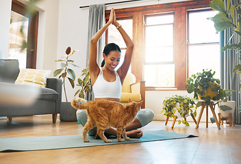 Image showing Cat, fitness or happy woman in yoga lotus pose for body flexibility, wellness or healthy lifestyle. Kitten, pet animal or zen girl with hands up in exercise, workout or training warm up in house