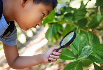 Image showing Magnifying glass, nature and an asian boy studying plants outdoor for education during a field trip. Kids, school and outing with a male student learning about organic sustainability in a garden