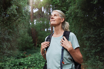 Image showing Travel, forest and mature woman on hiking journey, jungle adventure and nature backpack with outdoor explore. Senior camper or hiker person trekking in rainforest or tropical woods for cardio health