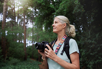 Image showing Senior woman, hiking and photography with camera in forest, nature or environment. Female hiker, tourist and travel photographer on trekking adventure, sightseeing journey or explore scenery in woods