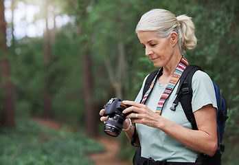 Image showing Senior woman, hiking and photography with digital camera on trail in nature park. Female hiker, tourist and travel photographer on trekking adventure, sightseeing journey or explore scenery in forest