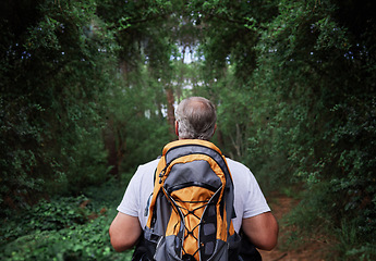 Image showing Adventure, hiking and senior man in a forest or woods and walking in nature for exercise, workout or fitness. Travel, adventure and back view of elderly male person trekking to explore the outdoors