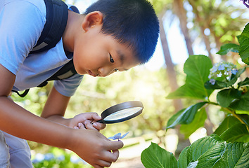 Image showing Magnifying glass, garden and an asian boy studying plants outdoor for education during a field trip. Kids, school and outing with a male student learning about organic sustainability in nature