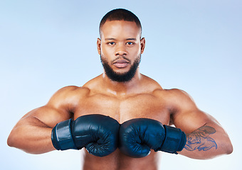 Image showing Gloves, boxing and portrait of a serious black man isolated on a blue background in studio. Ready, fitness and an African boxer looking focused for training, cardio challenge or a fight on a backdrop