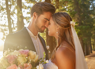 Image showing Wedding, love and face of couple in park, forest and nature for celebration of union, care and marriage commitment. Bride, groom and relax in garden for romance, bridal event and sunshine in spring