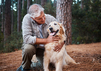 Image showing Senior man, hiking with dog in forest and adventure, fitness with travel and pet with love and care. Nature, trekking and vitality with mature male in retirement and golden retriever puppy outdoor