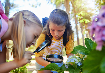 Image showing Learning, magnifying glass and girls with leaf outdoor for looking at plants together. Education, children and magnifier lens to look at flowers exploring nature, forest or garden on school trip.