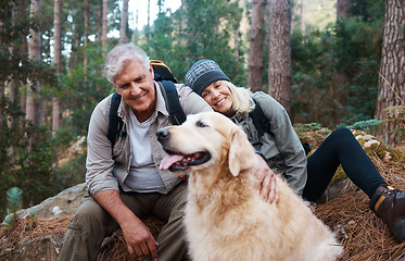 Image showing Nature, hike and senior couple with their dog in the woods for a wellness cardio exercise. Happy, travel and elderly man and woman hikers in retirement hiking with their pet in a forest in Australia.