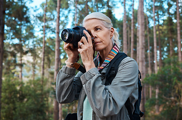 Image showing Hiking, nature and woman taking photos with a camera, capturing memories and view in a forest. Travel, tourist and an elderly lady taking pictures in a woods or the mountains for a photography hobby