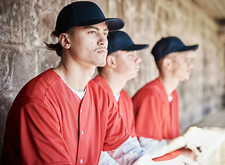 Image showing Baseball, teamwork and dugout with a sports man watching a competitive game outdoor during summer for recreation. Sport, team and waiting with a male athlete on the bench to support his teammates