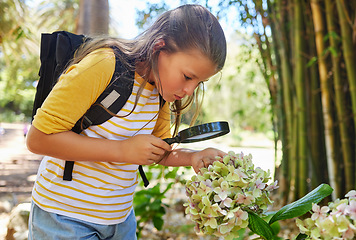 Image showing Learning, magnifying glass and girl with flower outdoor for looking at plants at park. Education, child and magnifier lens to look at vegetation, exploring nature or garden on summer school trip.