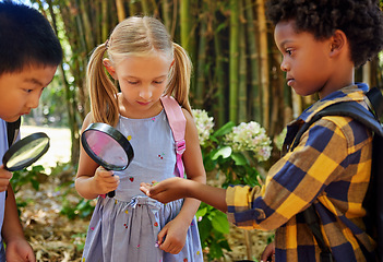 Image showing Friends, nature or children at summer camp, magnifying glass or growth outdoor, speaking or ideas. Knowledge, young kids with plants, outside or discover with fun, natural or adventure for bonding