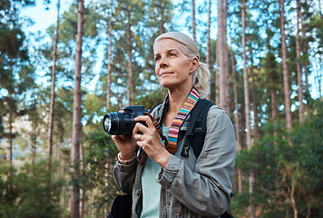 Image showing Camera, photographer and elderly woman taking pictures while hiking in a forest, calm and content. Nature, photography and senior lady enjoying retirement, relax and hobby while on vacation outdoors