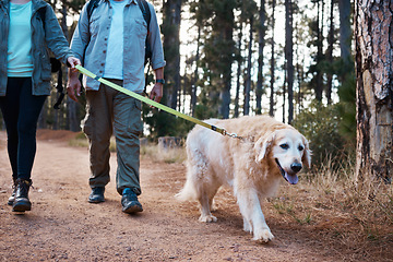 Image showing Dog, hiking and people walking pet animal in the forest, woods or nature as to explore, exercise or travel outdoors. Adventure, trekking and couple walk a puppy while on holiday or vacation