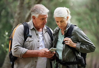 Image showing Forest, hiking and elderly couple with phone for gps, location or navigation while exploring together. Online, maps and active senior man with woman checking direction while backpacking in nature