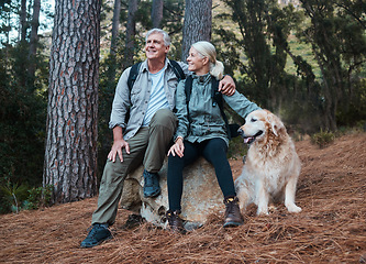 Image showing Forest, hiking and old couple with dog sitting on rock in mountains in Peru on retirement holiday adventure. Travel, senior man and woman relax together on nature walk with love, Labrador and health.