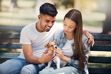 Image showing Young couple, puppy and relax in park, bench and summer sunshine with happiness, care and bonding. Man, woman and small dog with touch, smile and hug for love, romance and family in nature together