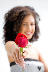 Image showing Presenting red rose