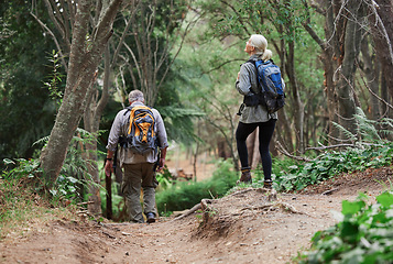 Image showing Back, fitness and senior couple hiking, workout and exercise for wellness, healthy lifestyle and quality time. Hike, mature man and old woman in forest, walking and training with fresh air or balance
