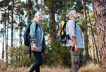 Image showing Forest, retirement and hiking, mature couple with backpack on nature walk and mountain path in USA. Travel, senior man and woman on exercise hike with love, health and trekking on holiday adventure.