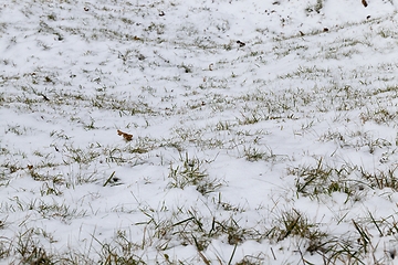 Image showing Snow drifts in winter