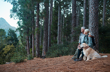 Image showing Forest, relax and hiking, old couple with dog on nature walk and mountain view in Peru. Travel, senior man and woman rest on cliff with love, Labrador pet and health on retirement holiday adventure.