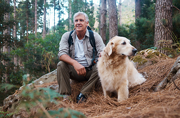 Image showing Adventure, explore and man hiking with her dog, pet or animal in the winter forest for exercise, workout or fitness. Trekking, travel and elderly or senior male trekking with a puppy on holiday