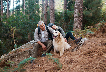 Image showing Nature, hiking and elderly couple with their dog in the forest for wellness cardio exercise. Happy, travel and senior man and woman hikers in retirement trekking with their pet in woods in Australia.