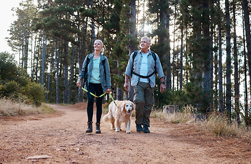 Image showing Forrest, hiking and old couple with dog on nature walk in mountain in Peru for fitness and exercise. Travel, man and woman on hike with Labrador pet, love and health on retirement holiday adventure.