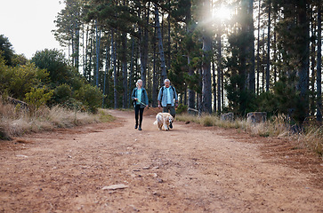 Image showing Forrest, hiking and old couple walking dog on path in mountain in Australia for fitness and exercise. Travel, man and woman on hike with Labrador pet, love and health on retirement holiday adventure.