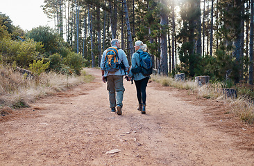 Image showing Forest, retirement and hiking, old couple holding hands on nature walk on mountain path in Canada. Travel, senior man and mature woman on hike for exercise with love and health on holiday adventure.