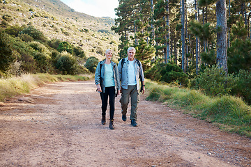 Image showing Forest, path and hiking, old couple on nature walk with backpack in mountains path in Canada. Travel, senior man and mature woman on exercise hike with love, health and trekking on holiday adventure.