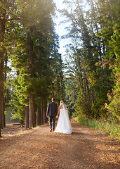 Image showing Wedding, back and couple walking in forest, nature and park for union celebration, care and marriage. Bride, groom and walk in woods, love and bridal event of commitment, support and trust of partner