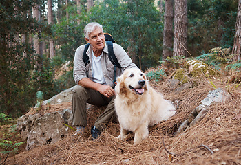 Image showing Adventure, hiking and old man with his dog, pet or animal in the winter forest for exercise, workout or fitness. Trekking, travel and elderly or senior male relax in the woods with a puppy on holiday