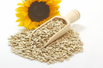 Image showing Sunflower seeds