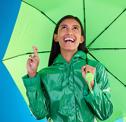 Image showing Green, umbrella and fingers crossed with a woman on a blue background in studio during winter for insurance. Rain, fashion or cover and an attractive young female wishing for weather change with hope