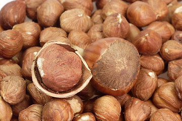 Image showing Hazelnuts